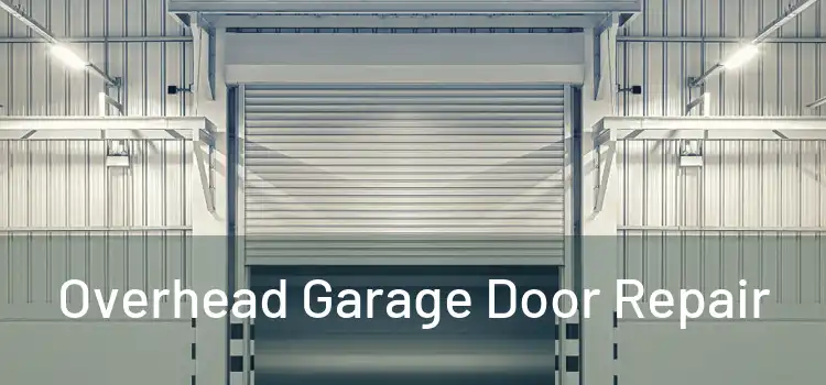  Overhead Garage Door Repair 